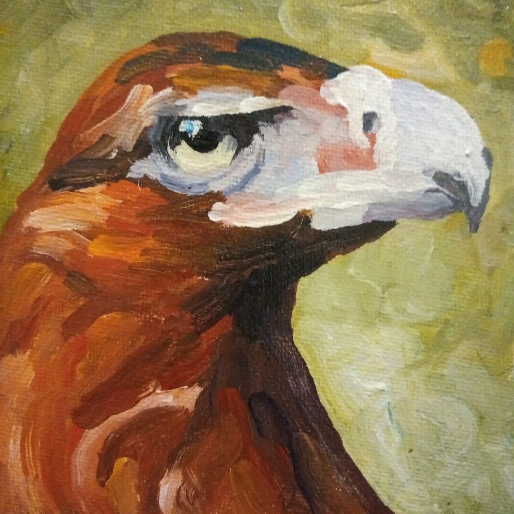 Eagle Head